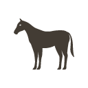 A balanced mixture of micro and macro minerals A balanced mixture of micro and macro minerals